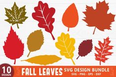 the fall leaves svg bundle is shown in various colors and sizes, including red, orange