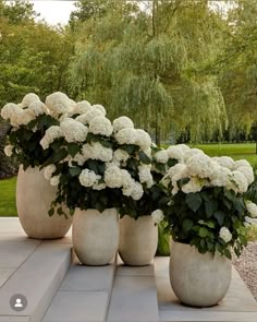 three large vases filled with white flowers sitting on top of a stone slabd walkway