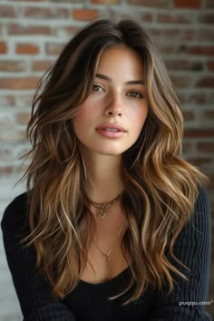 Stunning Brown Hair Balayage Ideas for a Chic Transformation - Puqqu Brown Hair Balayage, Hair Haircuts, Long Brown Hair, Hair 2024, Dark Brown Hair, American Beauty, Light Brown Hair, Hair Color Trends