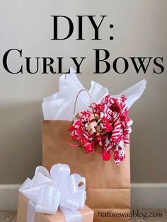 a brown paper bag with white bows on it and the words diy curly bows