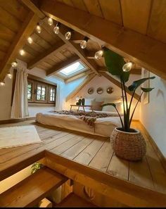 there is a bed in the attic with lights hanging from it's ceiling and a plant on the floor