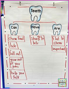 a bulletin board with tooth shapes and words on it