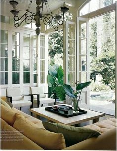 a living room filled with lots of furniture and a large plant on top of a coffee table