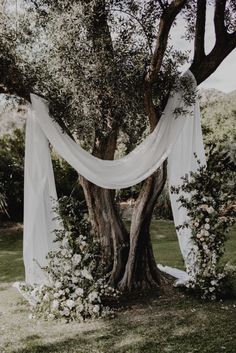 an outdoor ceremony with white draping and flowers on the tree trunk, surrounded by greenery