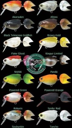 the different types of lures that are available for fishing