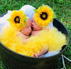 two baby babies are dressed in yellow tutues and sunflowers