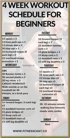 (ad) The 15 Best Abs Exercises To Add To Your Back Workouts Workout Schedule For Beginners, Beginner Workout Schedule, 4 Week Workout, Week Workout, Workout Plan For Beginners, Daily Workouts