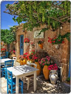 an outdoor dining area with blue chairs and potted flowers on the wall, next to a stone building