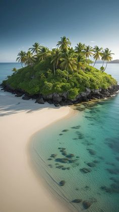 an island with palm trees on the beach