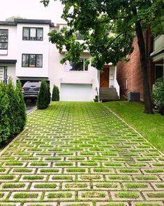 a brick driveway with grass in the middle and trees on both sides, between two houses