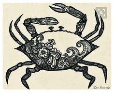 a black and white drawing of a crab