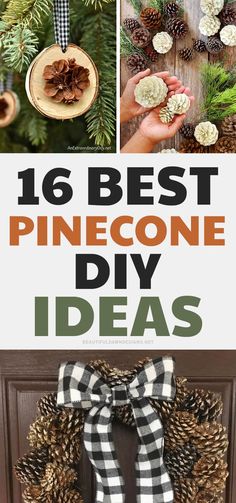 pinecone diy ideas with text overlay