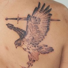 an eagle with a cross on it's back