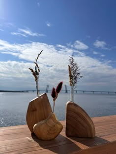 two vases sitting on top of a wooden table next to the ocean with plants in them