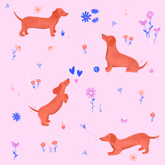 two dogs are playing with a string on a pink background surrounded by flowers and daisies