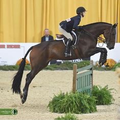 a woman riding on the back of a brown horse jumping over an obstacle in front of people