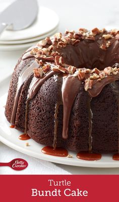 a bundt cake with chocolate frosting and nuts on top