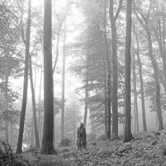 black and white photograph of two people walking through the woods on a foggy day