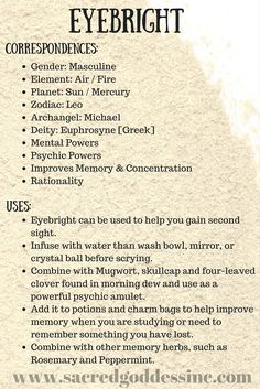 Embalming Process, Magical Correspondences, Magickal Herbs, Witch Herbs, Creepy Vintage, Magic Herbs, Healing Spells, Magick Spells, Eclectic Witch