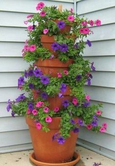 a tall potted plant with purple and pink flowers