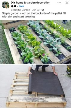 two pictures with different types of plants in them and one is made out of wood pallets