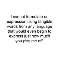 an image with the words i cannot formulate an expression using tongue words from any language that would even begin to express just how much you piss me