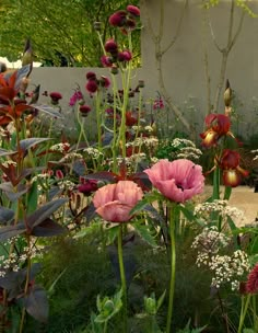 a garden filled with lots of flowers next to a white wall and green grass covered ground