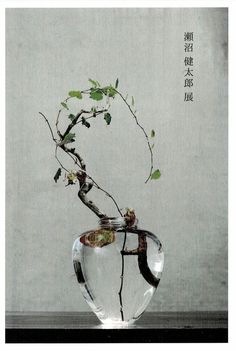 there is a glass vase with a plant in it and chinese writing on the wall