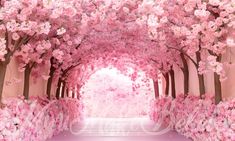 an image of pink flowers in the air and trees on either side of the walkway