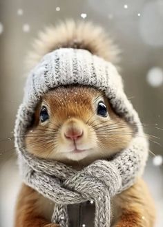 a squirrel wearing a knitted hat and scarf in the snow with it's eyes wide open