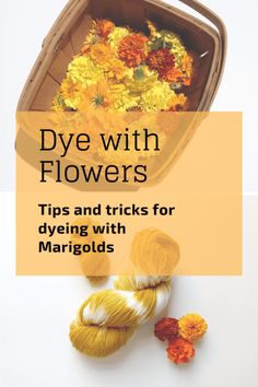 flowers and yarn in a basket with the title dye with flowers tips and tricks for dying with marjods