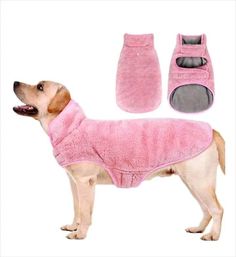 a dog wearing a pink coat and slippers