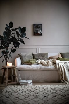 a living room with a couch, coffee table and potted plant