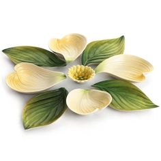 Franz Collection Autumn Memories Dogwood 9 Piece Dish FZ01723 Franz Porcelain, Franz Collection, Nature Kitchen, Wildflower Decor, Pottery Lessons, Dishes Plates, Pretty Tea Cups, Clay Bowl, Clay Art Projects