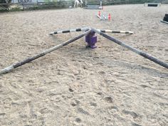 an upside down playground set up in the sand with sticks sticking out of it's sides