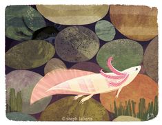 an illustration of a white bird with pink feathers on its head standing in front of rocks and grass