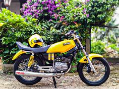 a yellow and black motorcycle parked in front of some bushes with purple flowers behind it