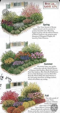 the different types of flowers are shown in this diagram