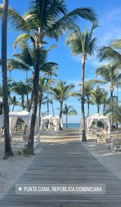 a wooden walkway leading to the beach with palm trees and white tents in the background