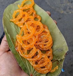 a person holding up a leaf with orange rings on it's end and some green leaves around the edges