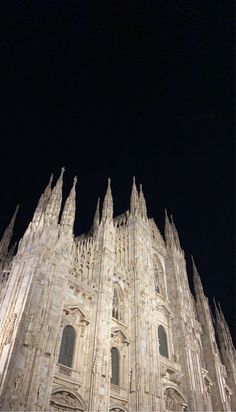 the large cathedral is lit up at night