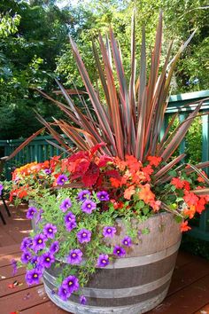 an old barrel is filled with colorful flowers