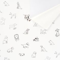 the wall paper has dogs on it and is white with black outlines in front