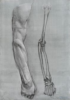 a pencil drawing of a human leg and foot