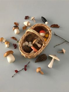 a basket filled with lots of different types of mushrooms next to some twigs and leaves