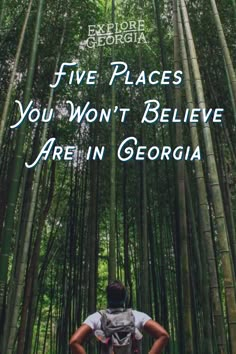 a man walking through a bamboo forest with the words five places you won't believe are in georgia