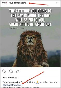 a lion sitting on top of a grass covered field with a quote above it that reads, the attitude you bring to the day is what the day