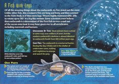 the back cover of a book with an image of a fish in it's mouth