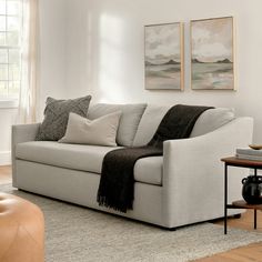 a living room scene with focus on the couch