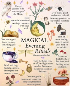 Routines Journal, Herbs Witch, Moon Herbs, Wellness Girl, Book Of Shadows Grimoire, The Wheel Of The Year, Witchy Tips, Divine Feminine Energy, Book Of Shadow